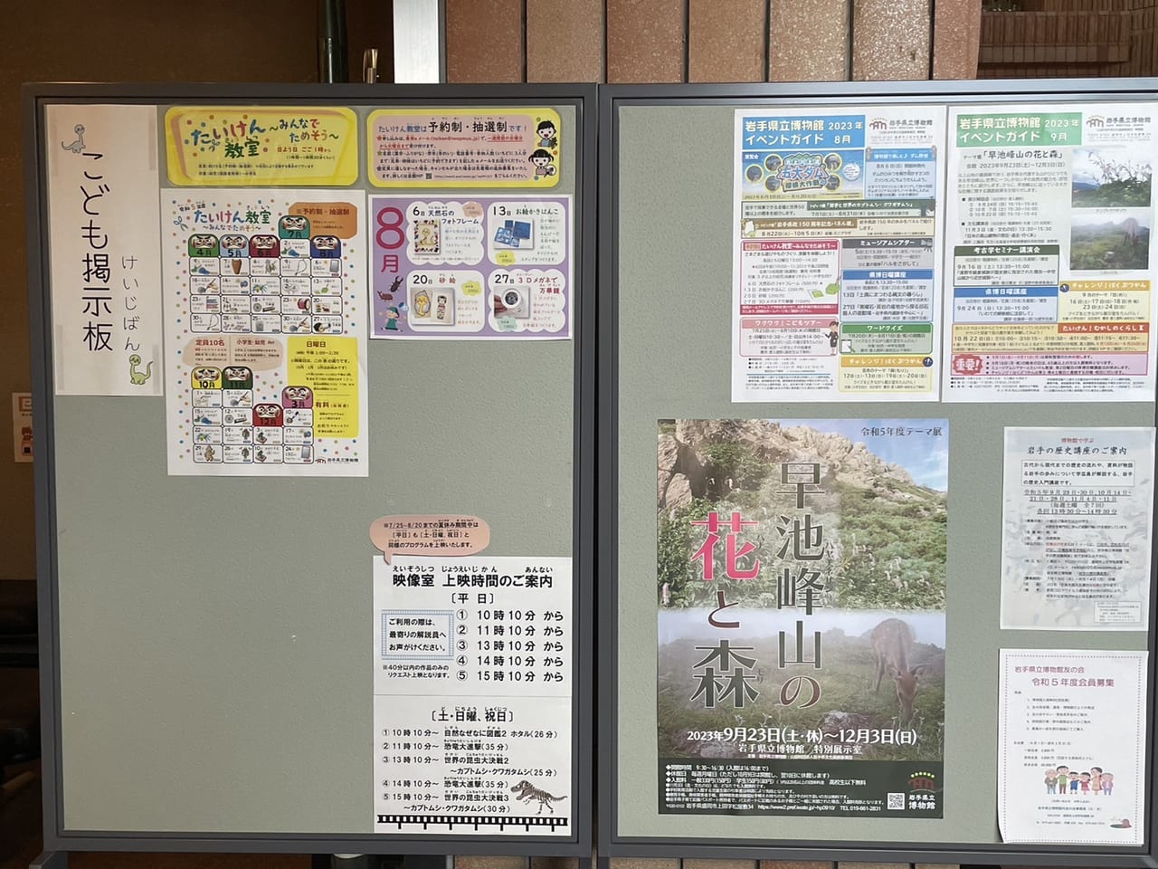 県立博物館掲示板