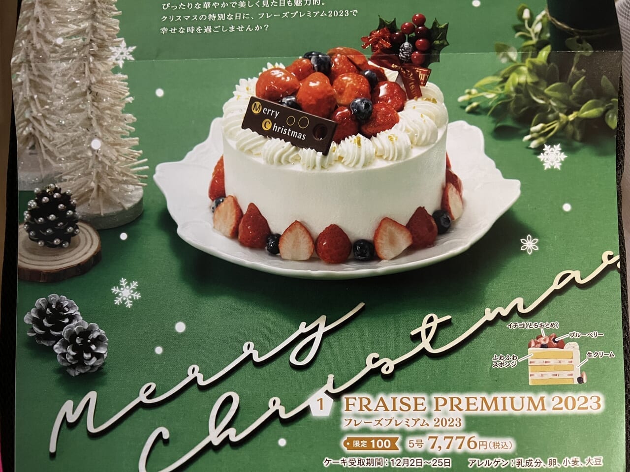 タルトタタンクリスマスケーキ1