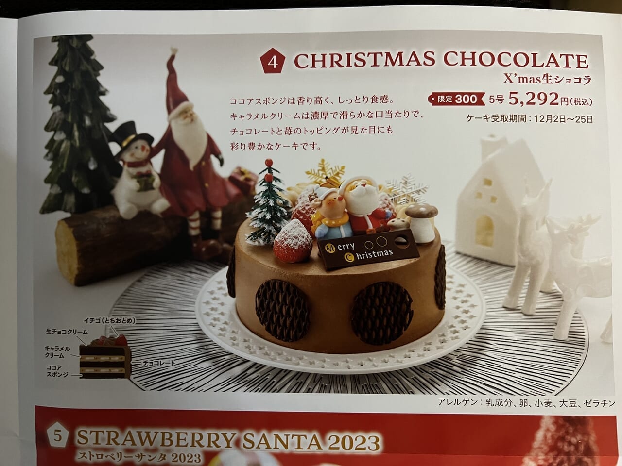 タルトタタンクリスマスケーキ4