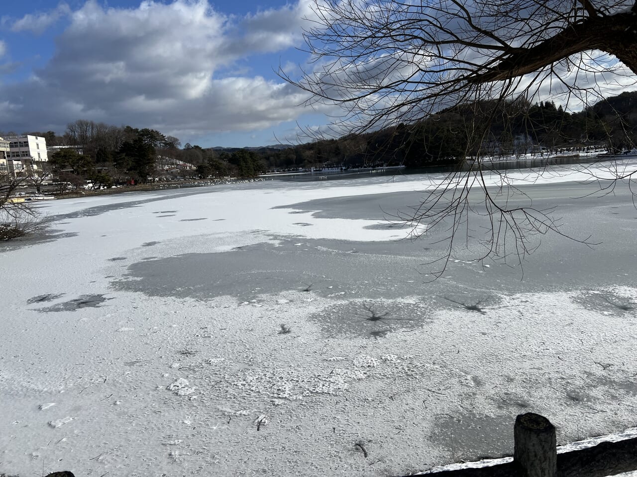 高松の池冬