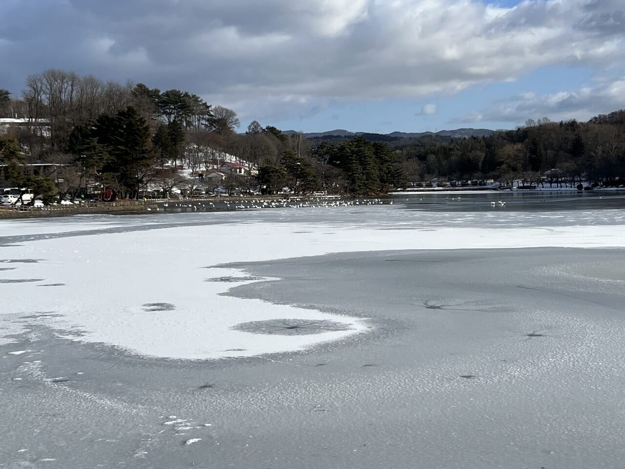 高松の池　冬